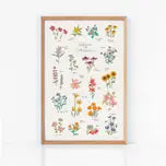 Wildflowers of North America Art Print