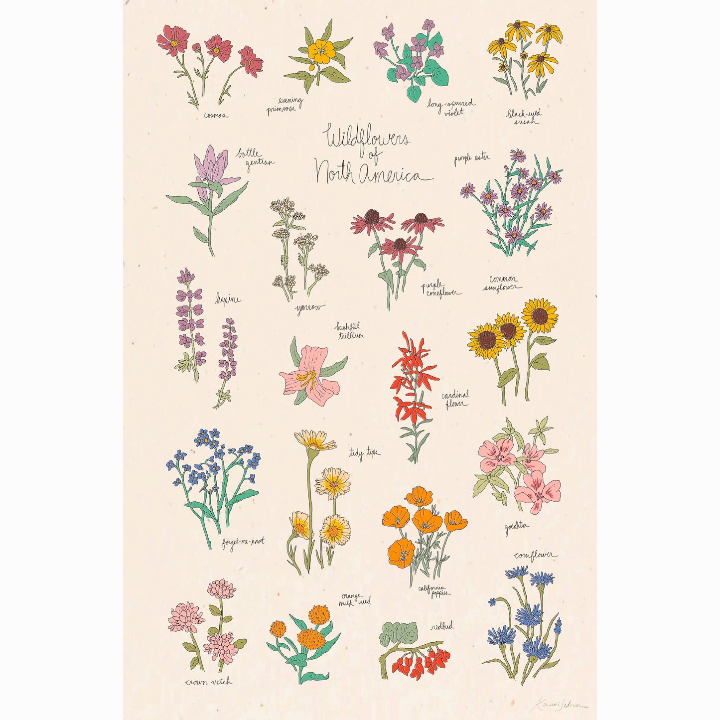 Wildflowers of North America Art Print