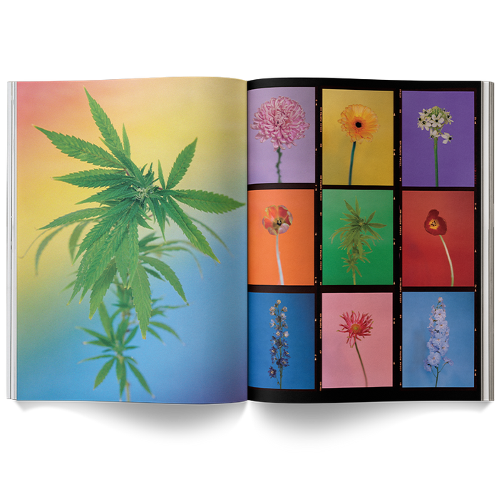 A Weed is a Flower Coffee Table Book