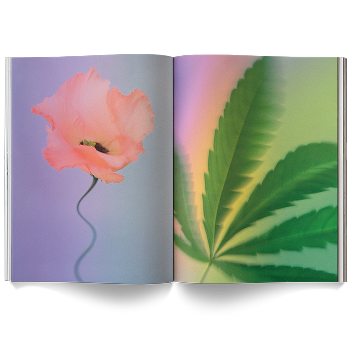 A Weed is a Flower Coffee Table Book