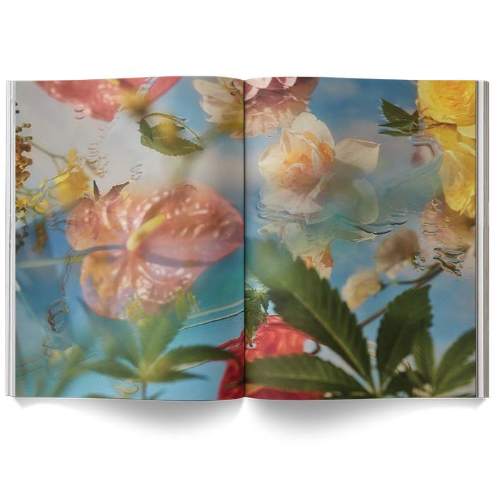 A Weed is a Flower Coffee Table Book