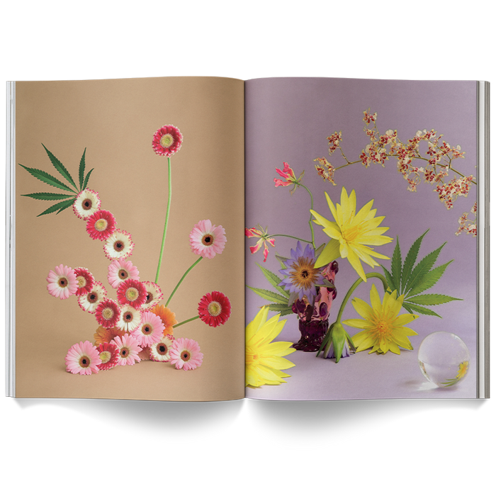 A Weed is a Flower Coffee Table Book
