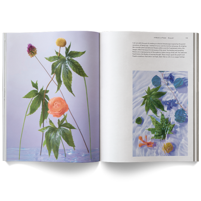 A Weed is a Flower Coffee Table Book