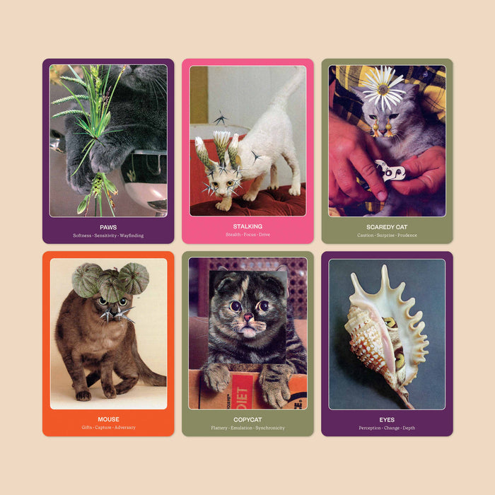 The Cat Oracle: 33 Card Deck