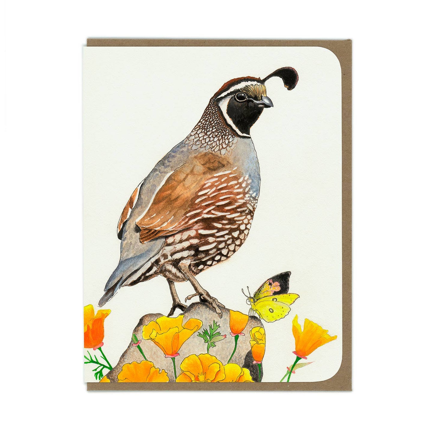 Quail and Poppies Greeting Card