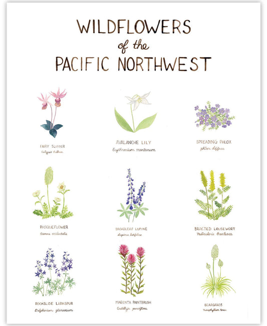 11” x 14” Pacific Northwest Wildflowers Art Print