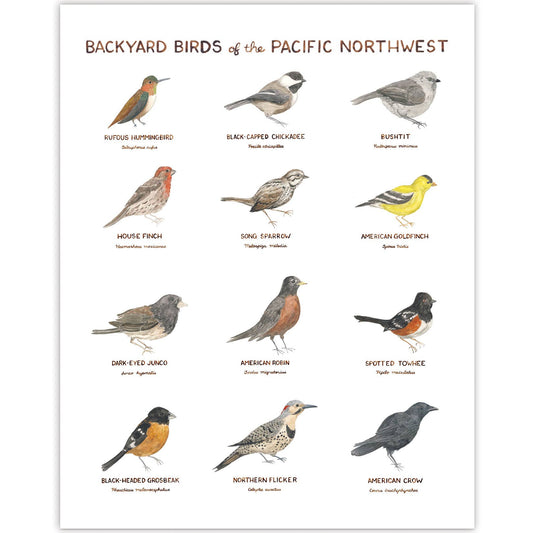 11" x 14" Backyard Birds of the Pacific Northwest Art Print