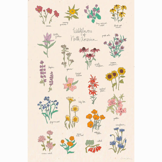 Wildflowers of North America Art Print