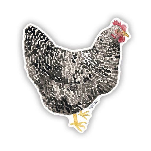 Barred Rock Hen - Watercolor Chicken Sticker
