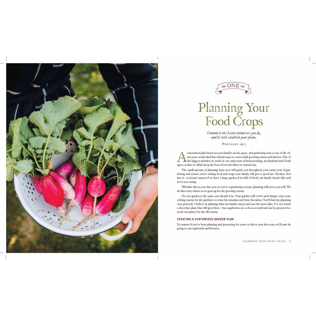 The Family Garden Plan, Book