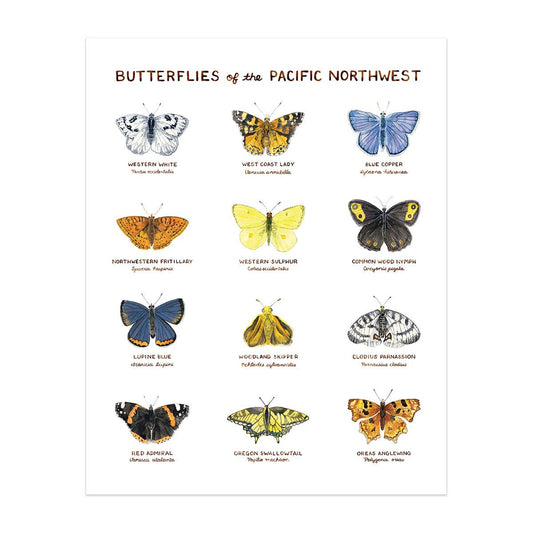 11" x 14" Butterflies of the Pacific Northwest Art Print
