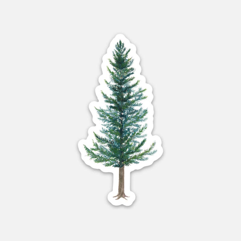 Douglas Fir Sticker - Evergreen Tree Sticker